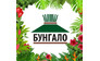 Салон путешествий Бунгало